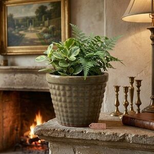 Olive Green Ceramic Planter with Drainage, 7" Textured Clay Plant Pot